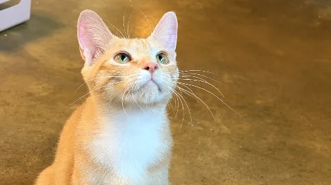 정모 대표 이미지