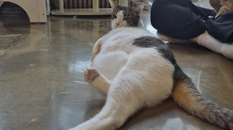 정모 대표 이미지