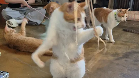 정모 대표 이미지