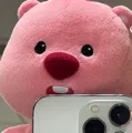 member face