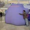 member face