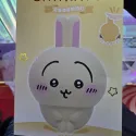 member face