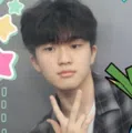 member face