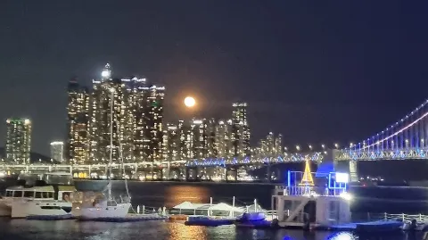 정모 대표 이미지