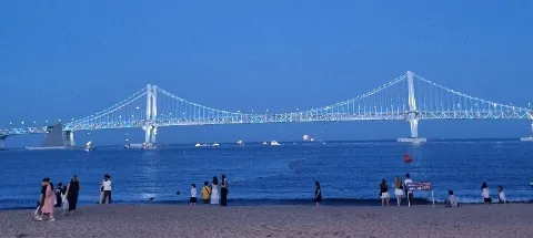 모임 대표 이미지