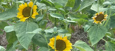 모임 대표 이미지