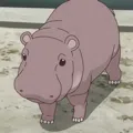 member face
