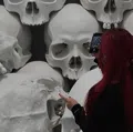 member face