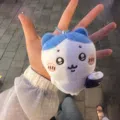 member face