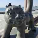 member face