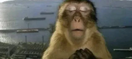 모임 대표 이미지