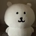 member face
