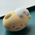 member face