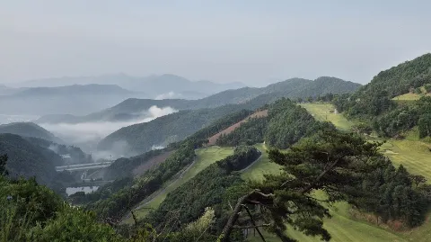 정모 대표 이미지