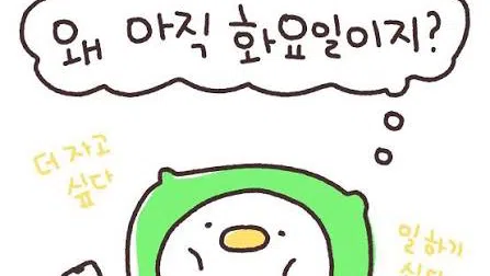 정모 대표 이미지