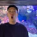 member face