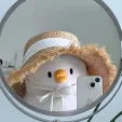member face