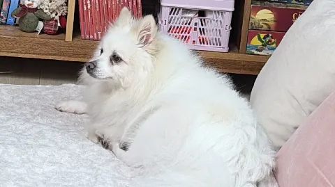 정모 대표 이미지