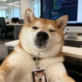 member face