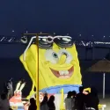 member face