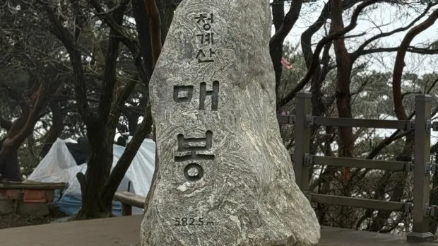 정모 대표 이미지