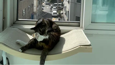 정모 대표 이미지