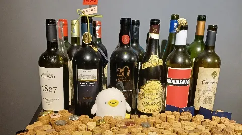 정모 대표 이미지