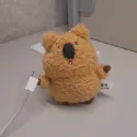 member face