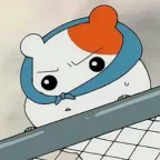 member face