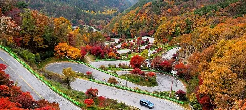 모임 대표 이미지