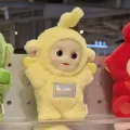 member face
