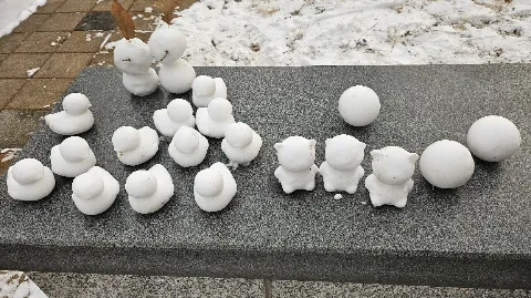 정모 대표 이미지