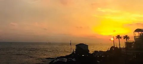 모임 대표 이미지