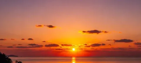 모임 대표 이미지