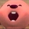member face