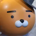 member face