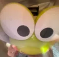 member face