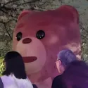 member face