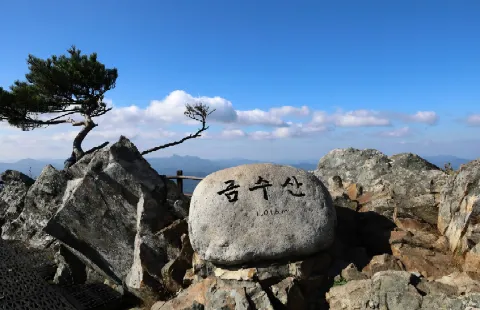 정모 대표 이미지