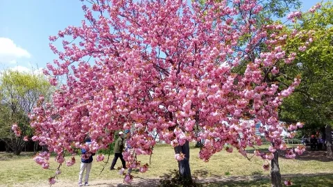 정모 대표 이미지