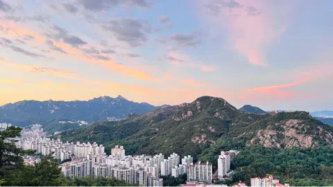 정모 대표 이미지