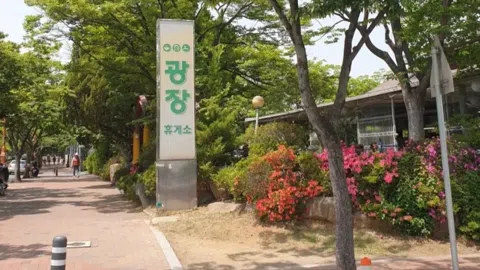 정모 대표 이미지