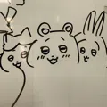 member face