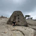 member face