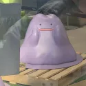 member face