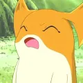 member face