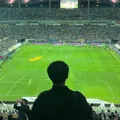 member face