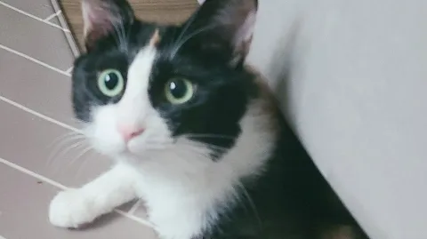 정모 대표 이미지