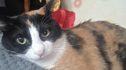 정모 대표 이미지