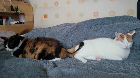 정모 대표 이미지